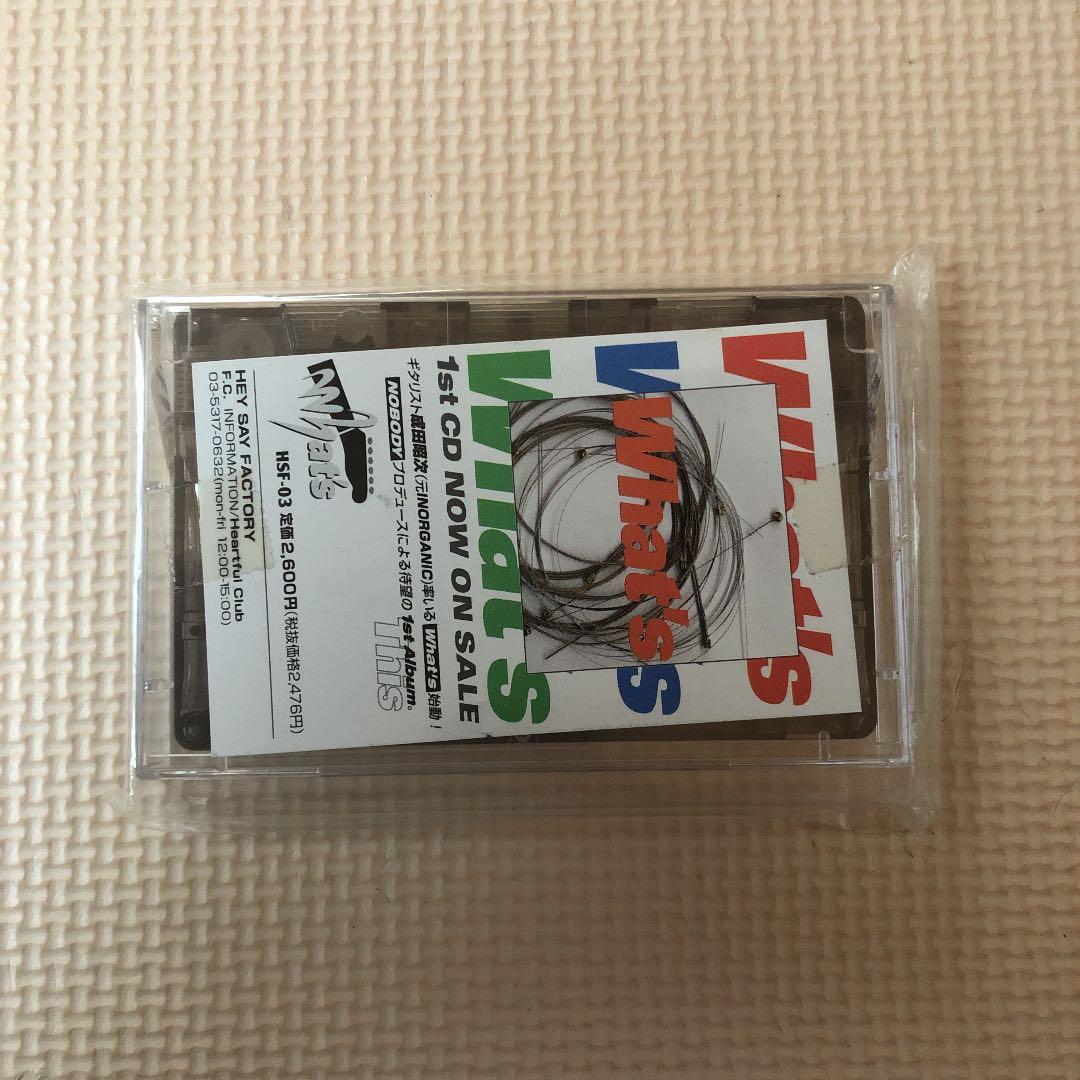 成田昭次　what's DEMO