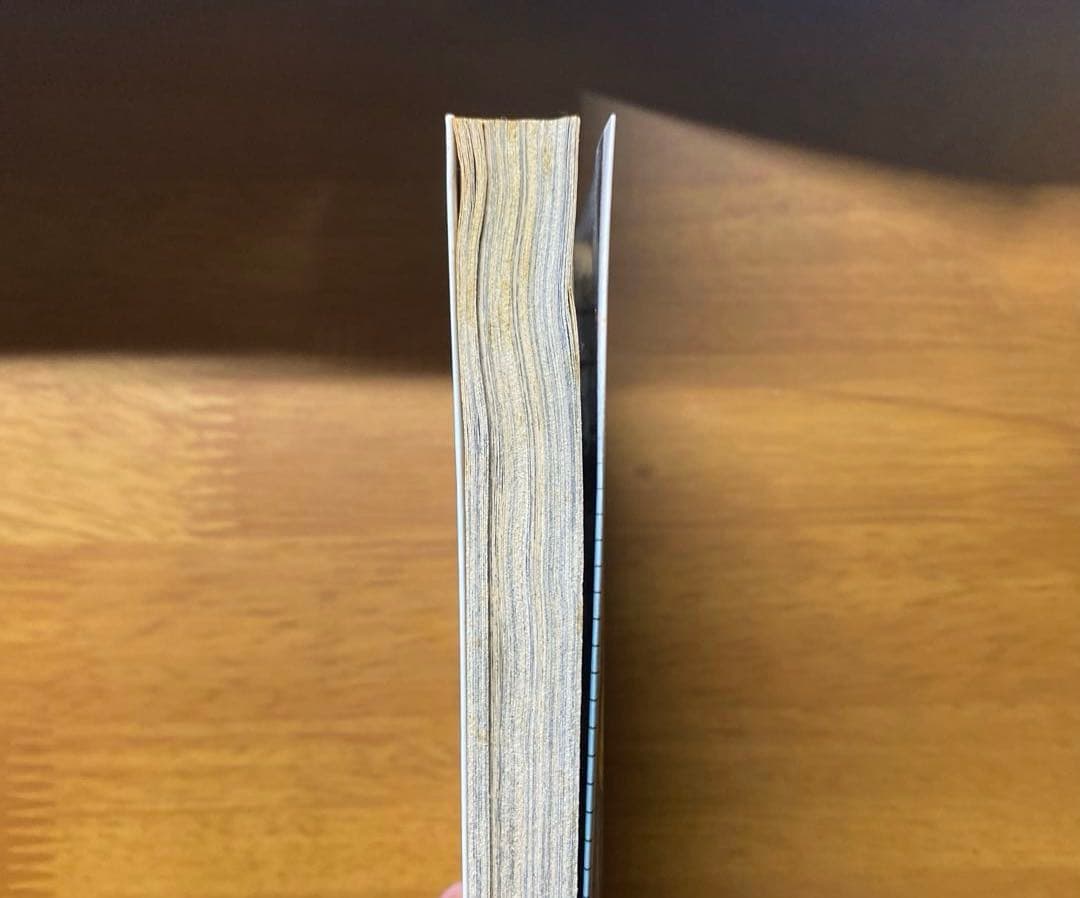 カメレオン　全４７巻セット　加瀬あつし