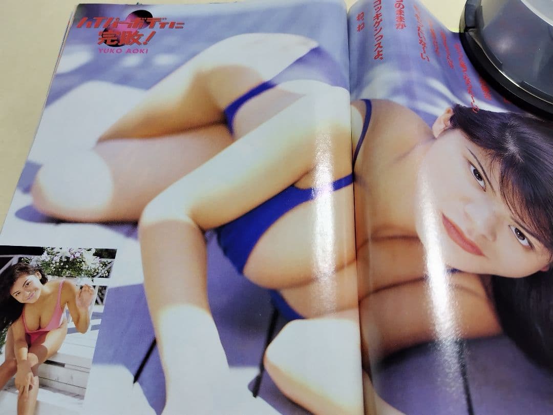 ♪ヤングキング増刊 エトランゼ 青木裕子&ヤングアニマル 「表紙グラビアのみ」