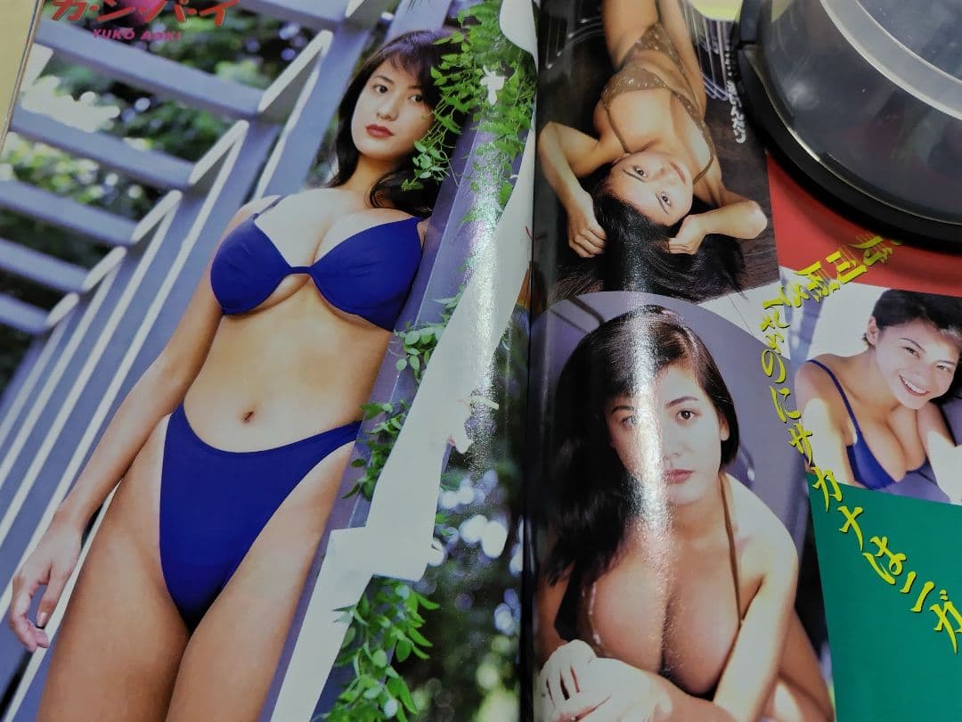 ♪ヤングキング増刊 エトランゼ 青木裕子&ヤングアニマル 「表紙グラビアのみ」