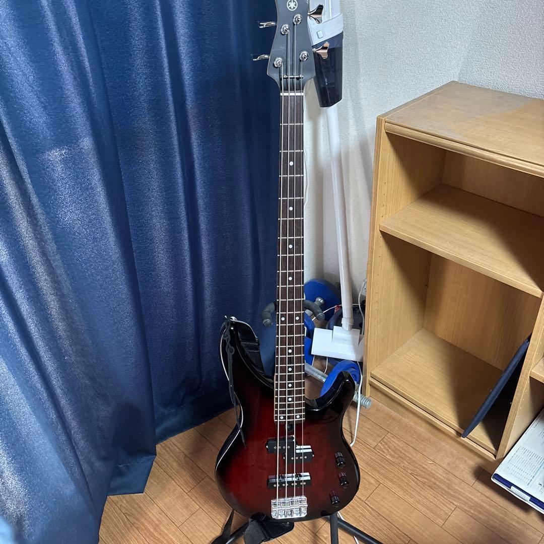 杉*平様 （ソフトケース、スタンド付き）YAMAHA TRBX174 OVSエレ