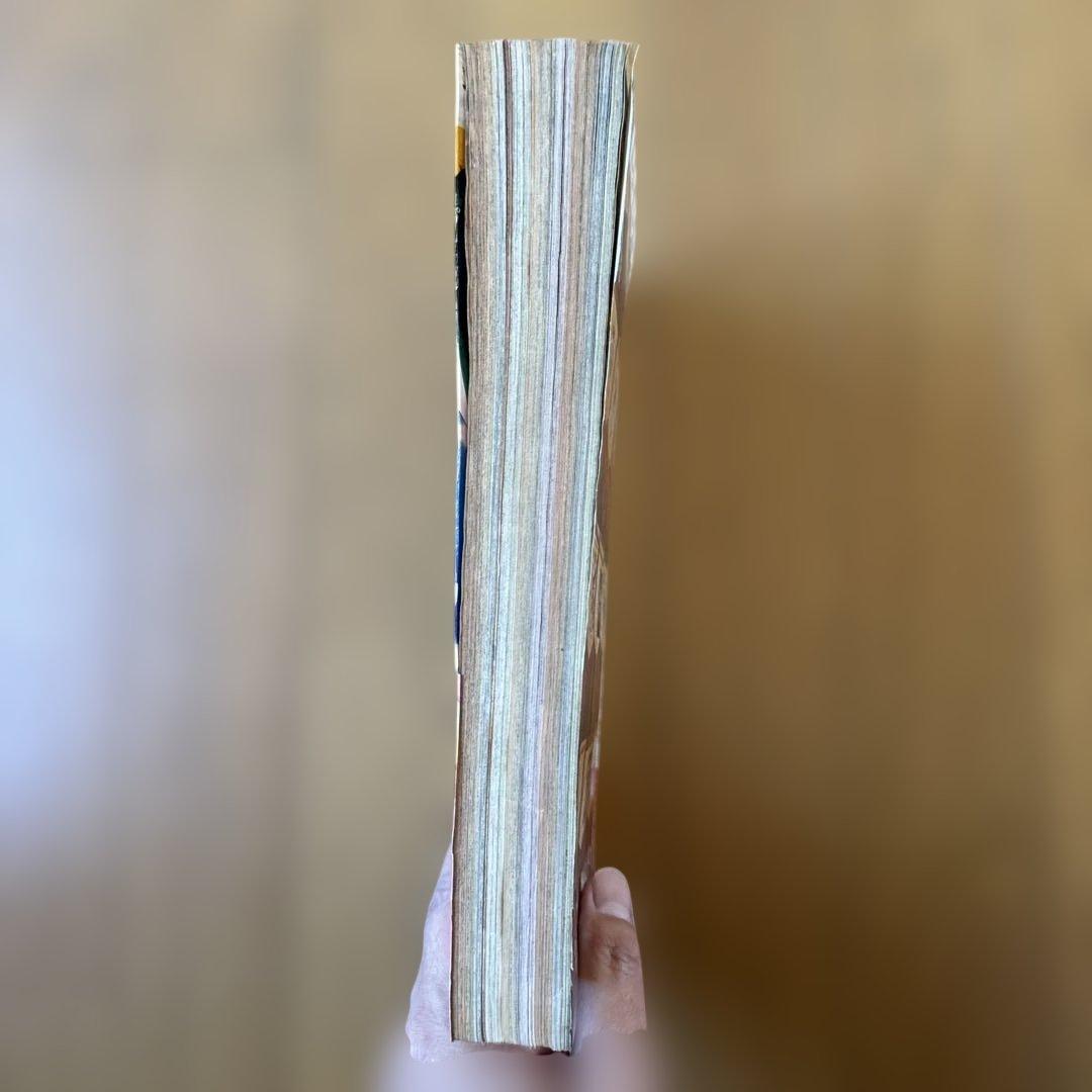 週刊少年ジャンプ 2000年13号 三獣士新連載／ONE PIECE特集号