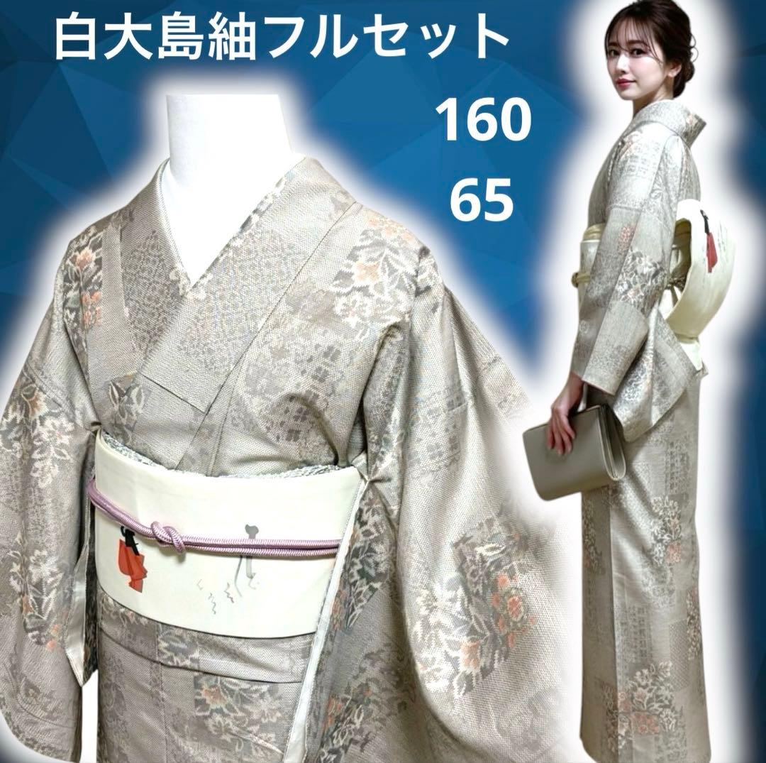 未使用近い　美品　袷　正絹　大島紬　白紬　小紋　フルセット