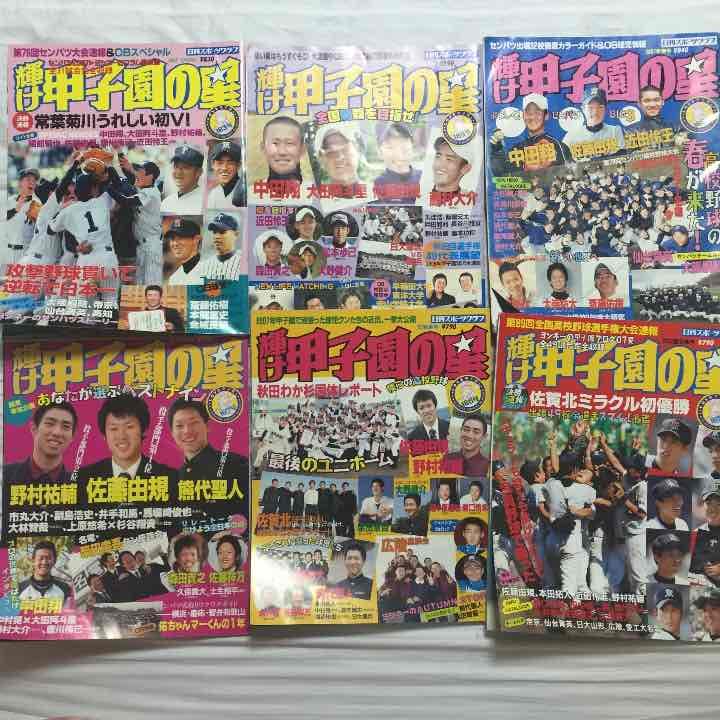甲子園の星 輝ける高校球児 サマーヒーローズ 甲子園ヒーローズ