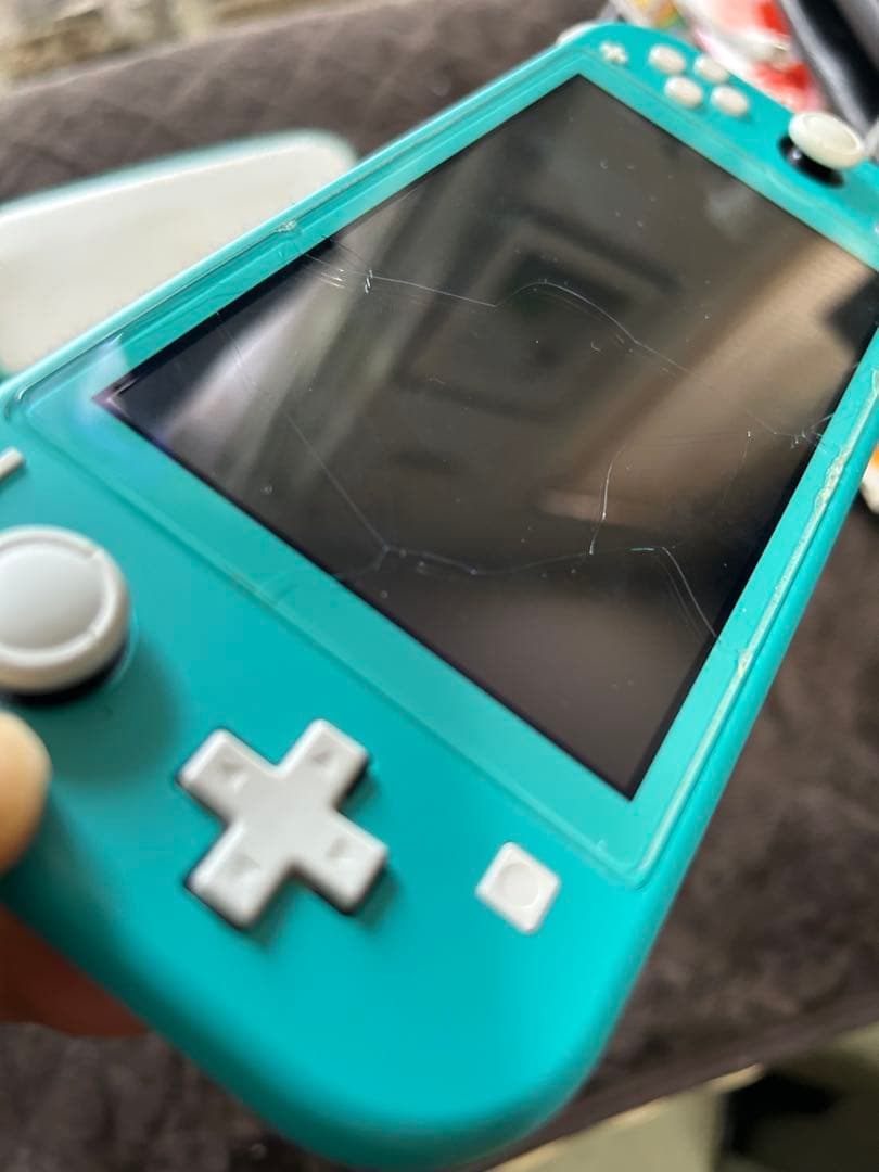 ★ジャンク品★Nintendo Switch Lite