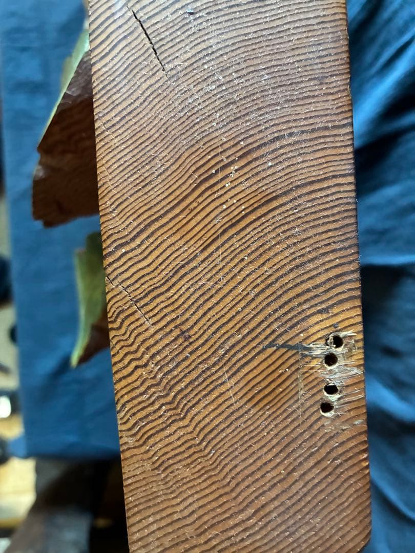 クヌギに登ってドングリを食べるリス　レリーフ　一枚板に浮き彫り