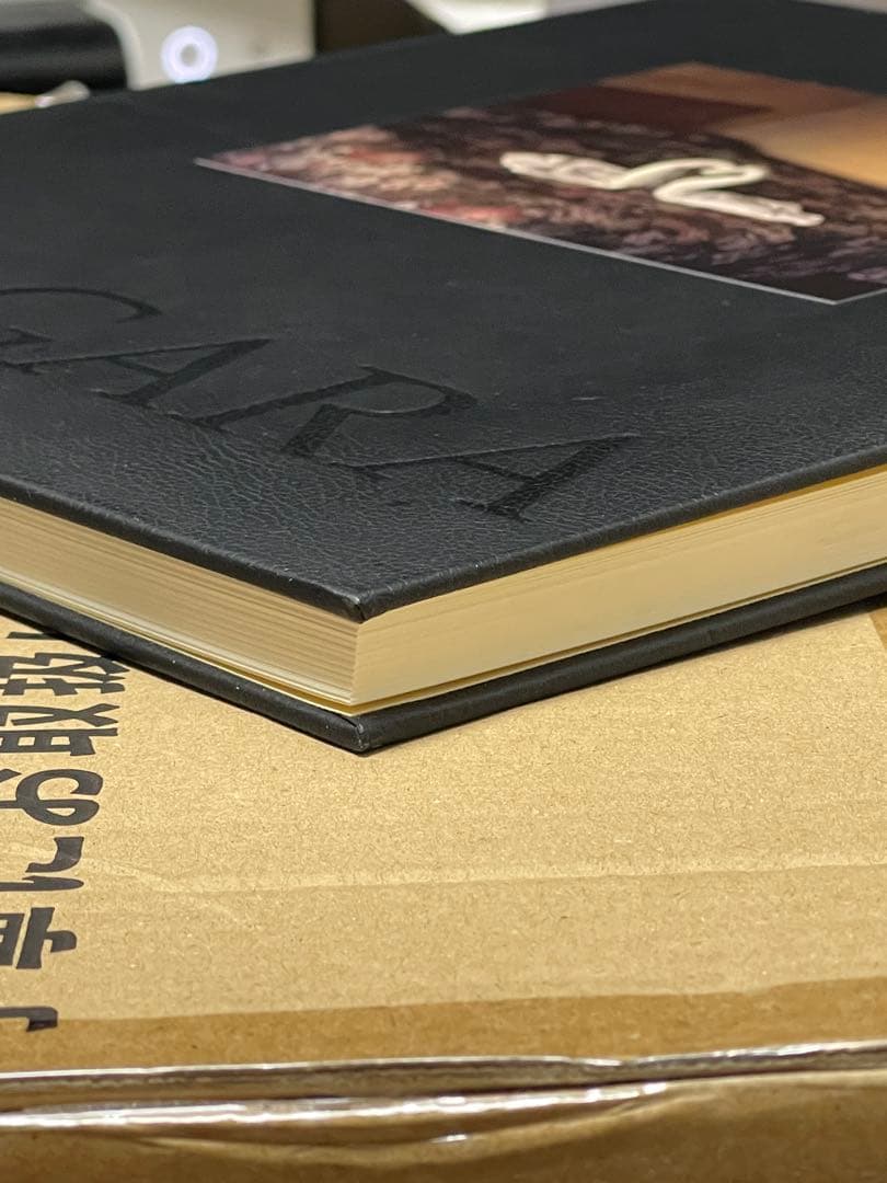 ALEC SOTH NIAGARA アレック・ソス 作品集 写真集 ナイアガラ