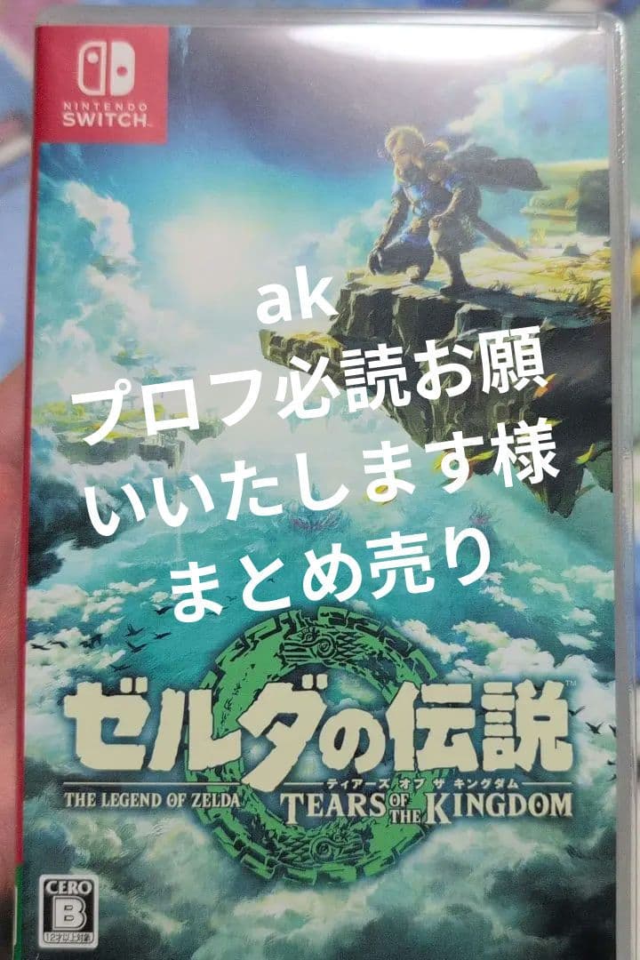 ゼルダの伝説 ティアーズ オブ ザ キングダム
