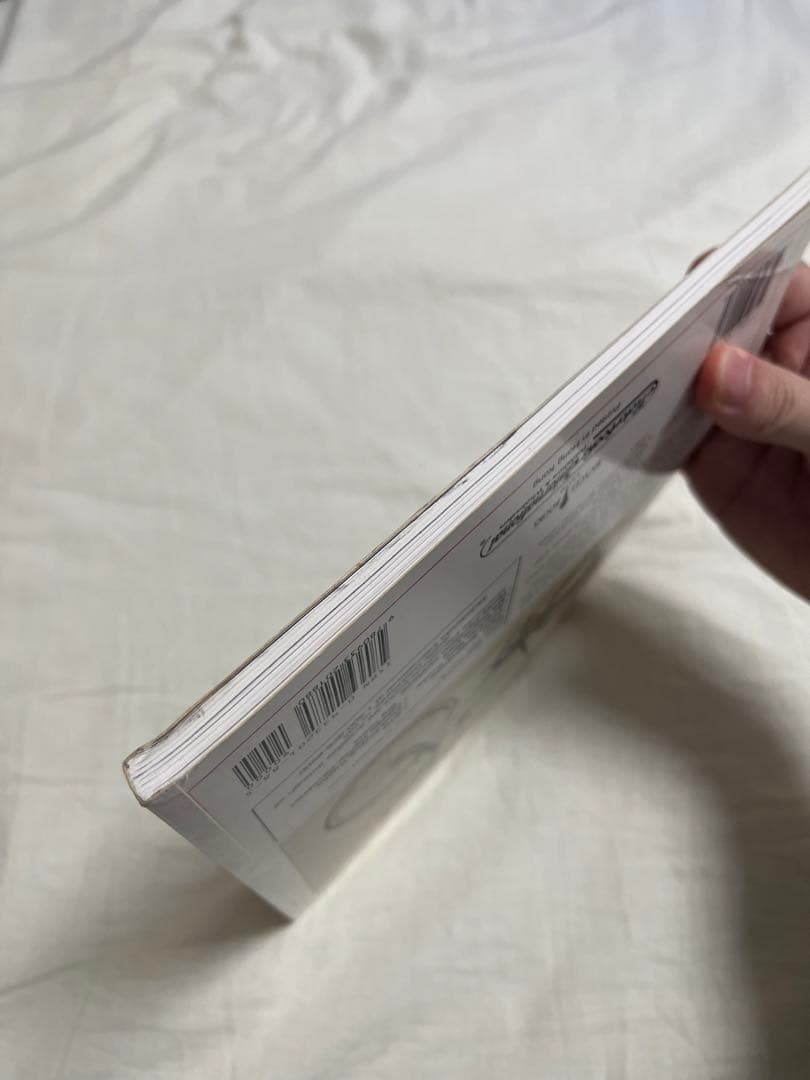 shwinn stingray シュウィン スティングレー 絶版コレクター本