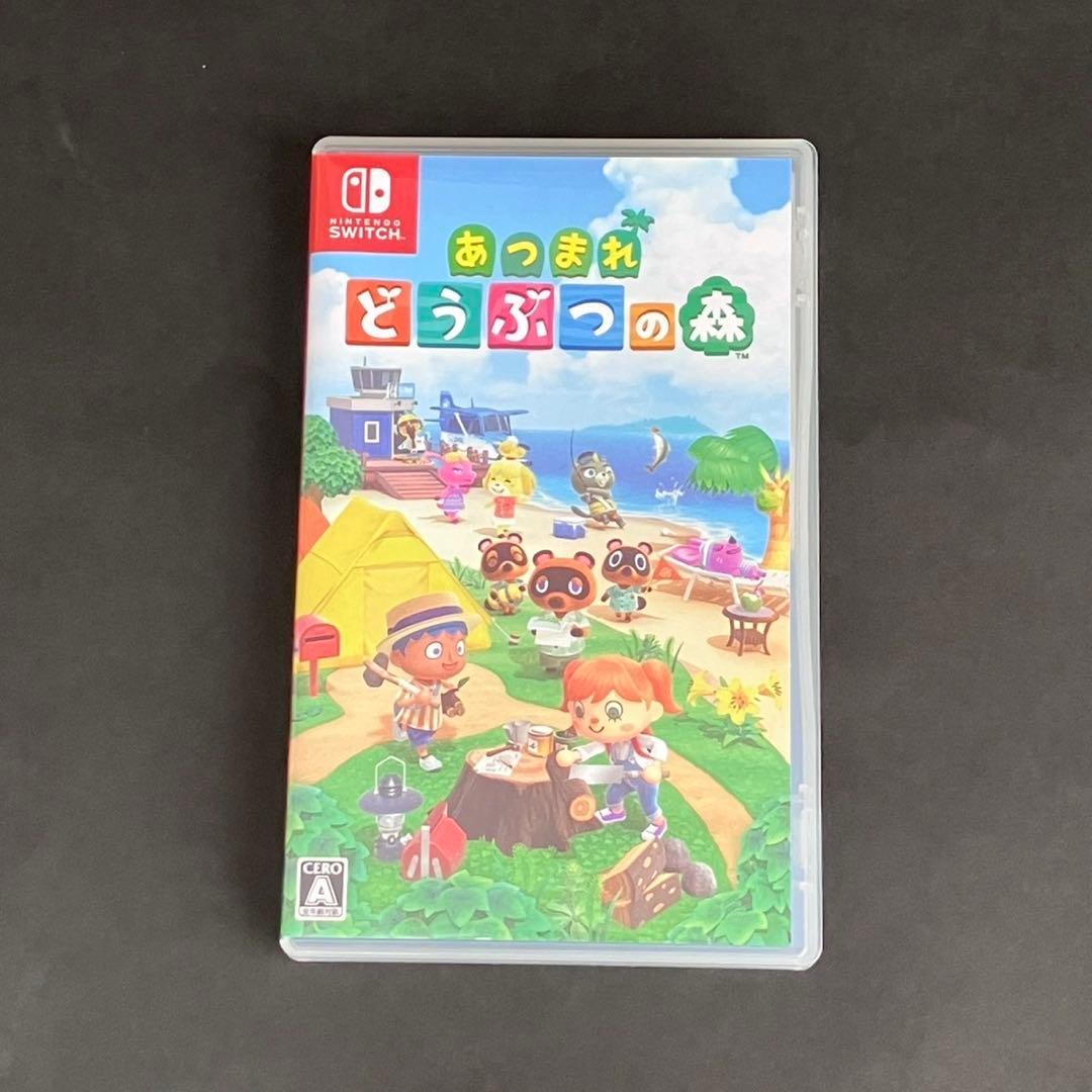 m*2様 Nintendo Switch Lite 本体 ターコイズ　あつまれど