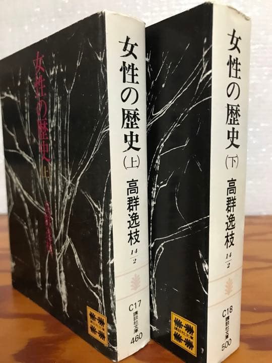 女性の歴史　高群逸枝　上下2冊揃い 講談社文庫　書き込み無し使用感無しの美品