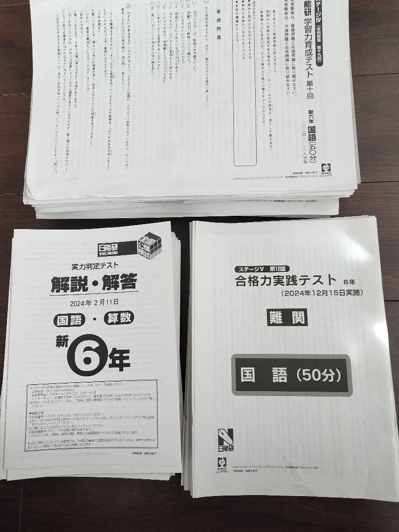 2024年度⭐︎日能研6年生1年フルセット学習力育成テスト全国公開模試等