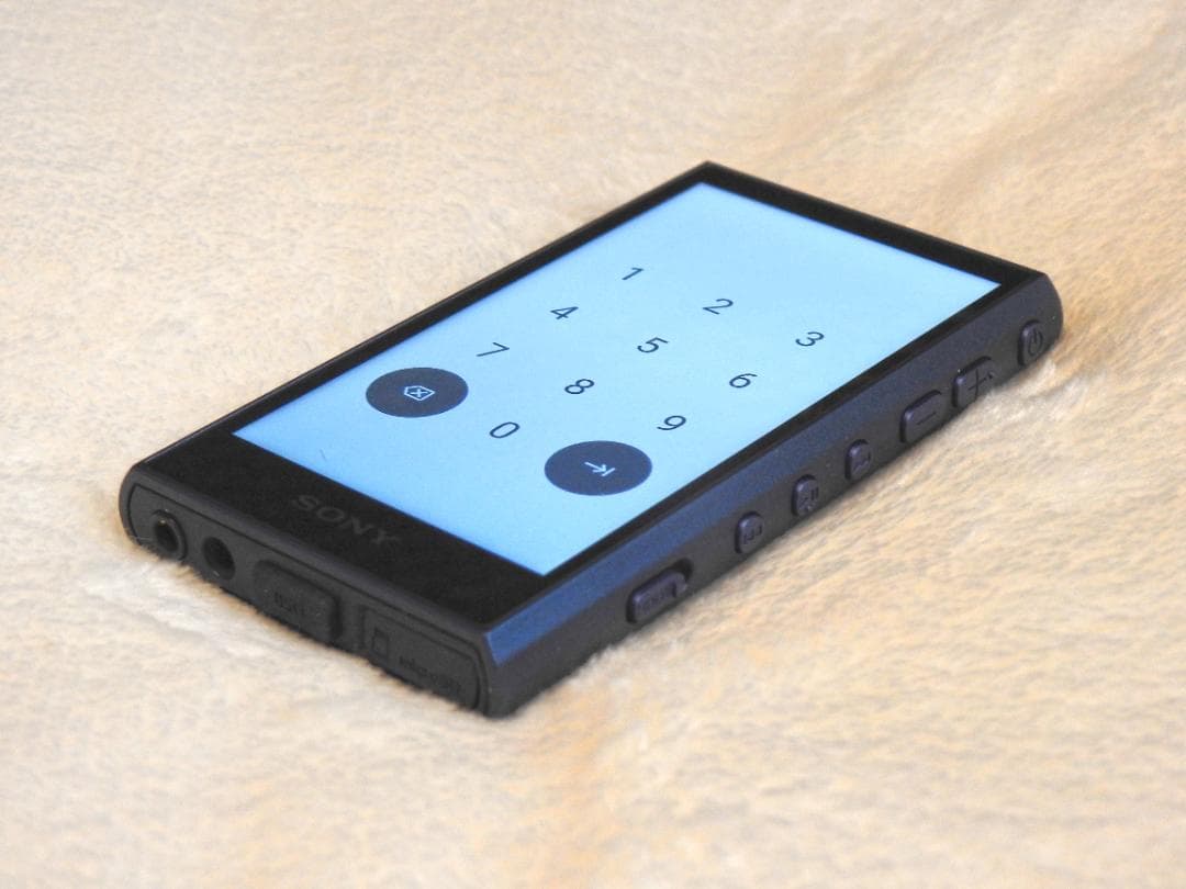 Sony ウォークマン NW-A306 32GB ケースおまけ