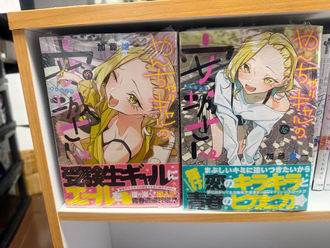 やんちゃギャルの安城さん 1-14 高1編1-6