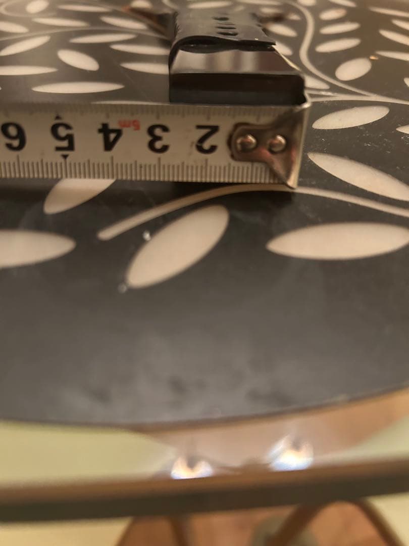 津軽三味線のべっ甲撥 ケース付き