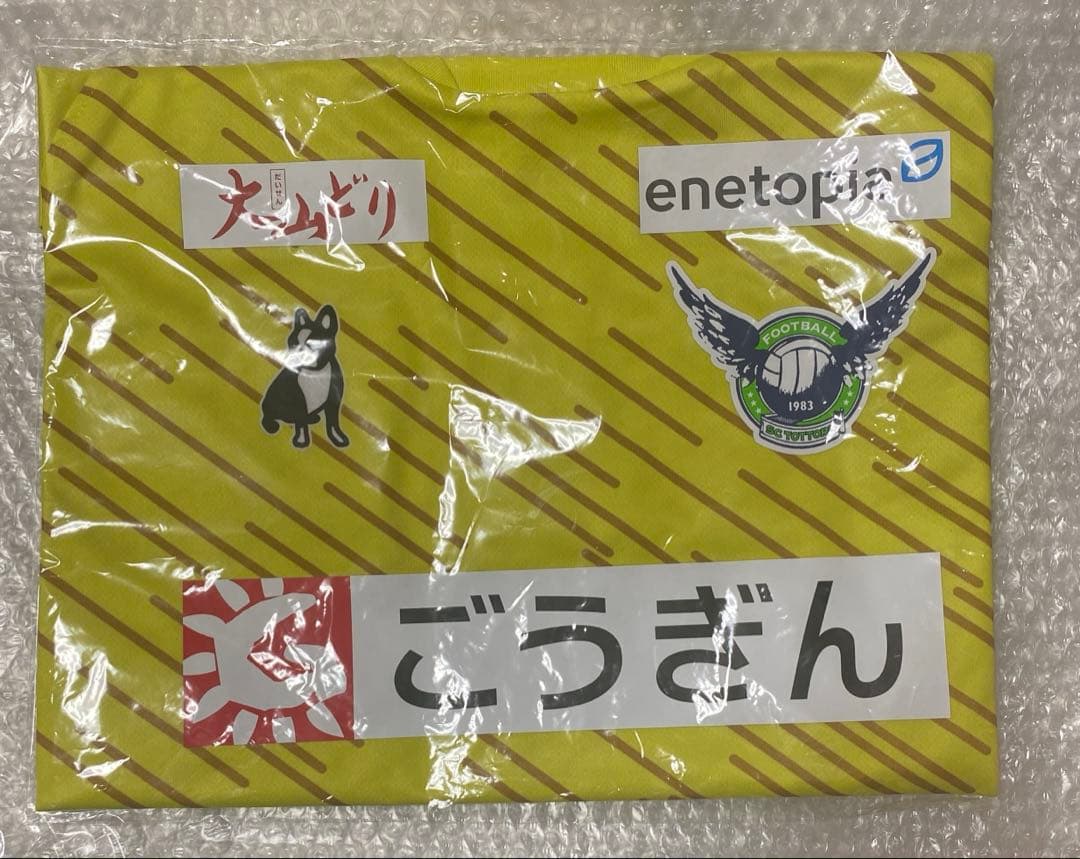 ガイナーレ鳥取 GKユニフォーム