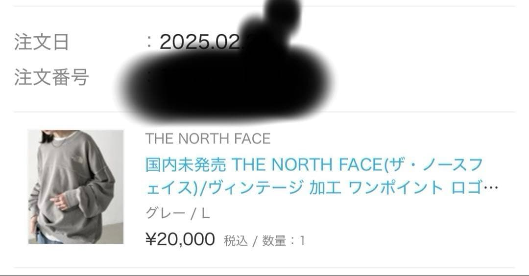 新品　THE NORTH FACE ワンポイント ロゴ刺繍 オーバースウェット