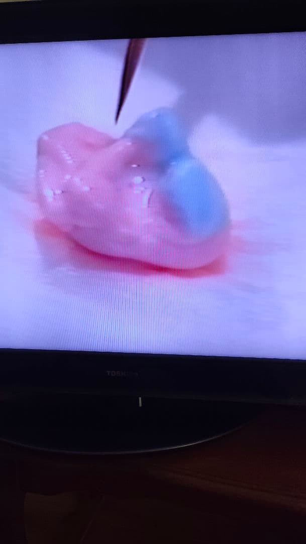 歯科技工　青嶋仁、片岡繁夫、ミューターティース 川崎従道デモビデオ　ポーセレン