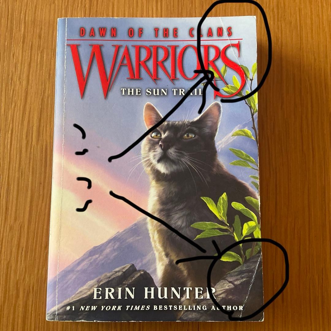 Warriors 洋書