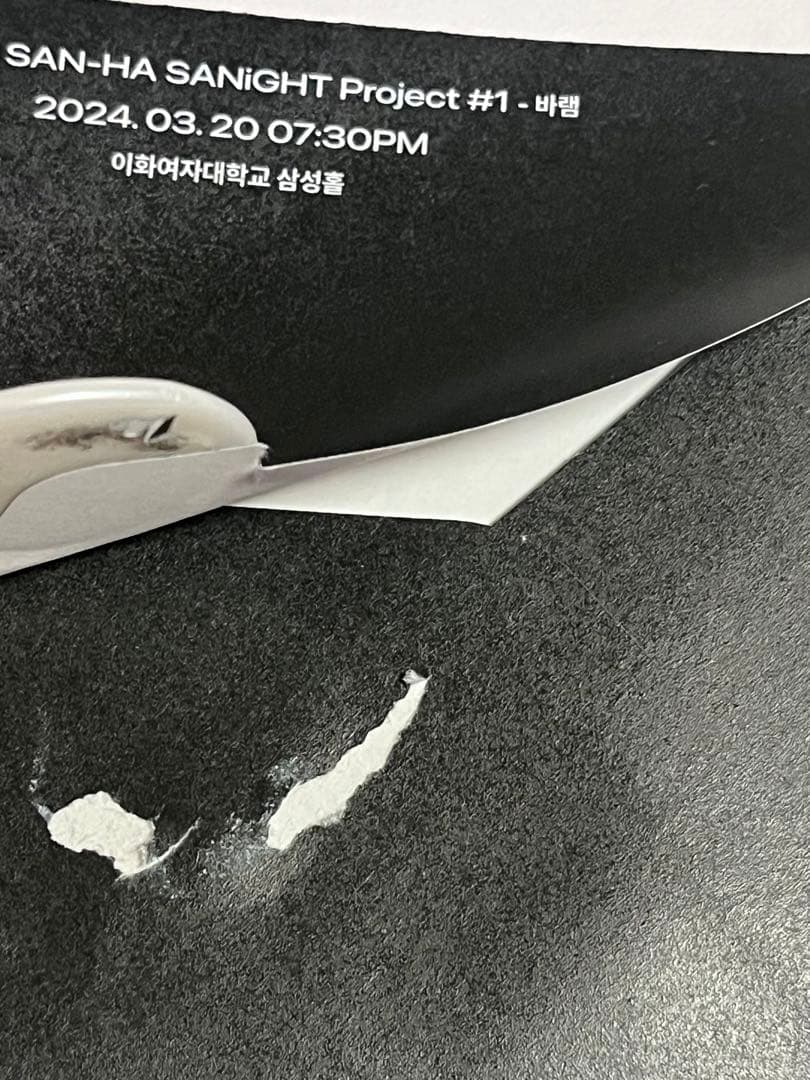 サナイト　入場特典