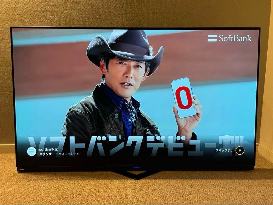 【引き取り限定】4K対応 55V型有機ELテレビ FE-55U6030