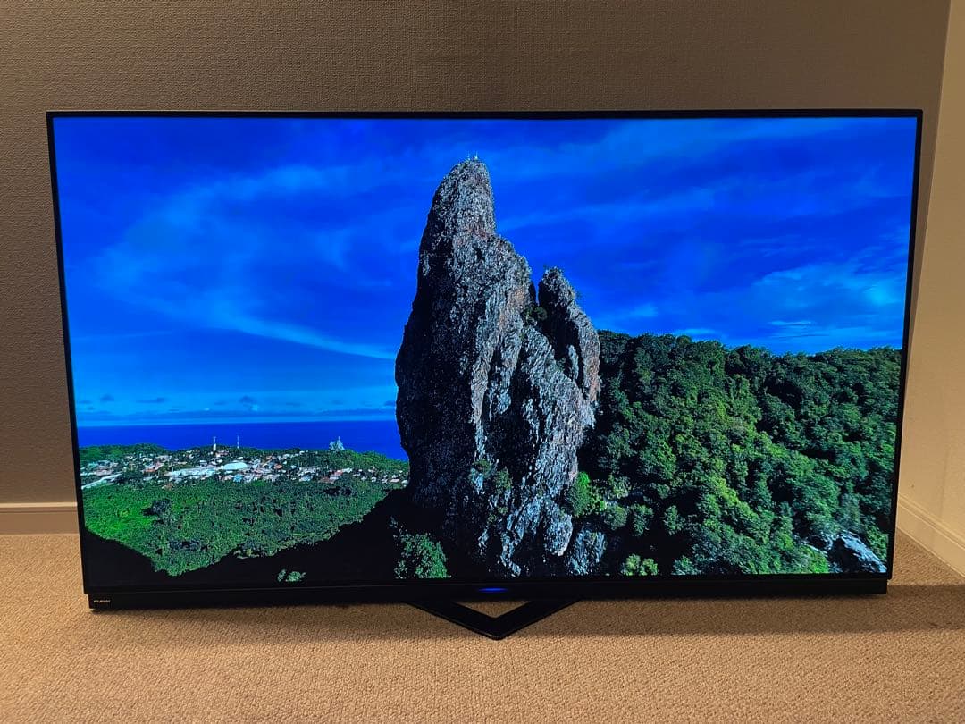 【引き取り限定】4K対応 55V型有機ELテレビ FE-55U6030
