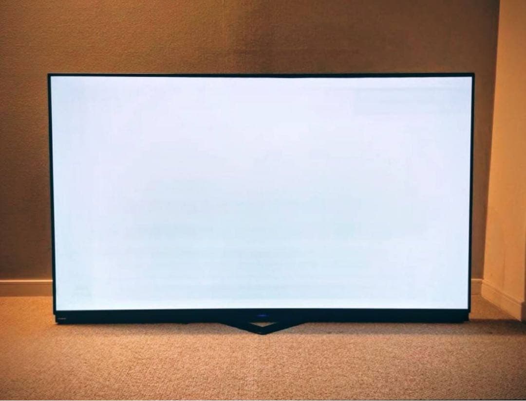 【引き取り限定】4K対応 55V型有機ELテレビ FE-55U6030