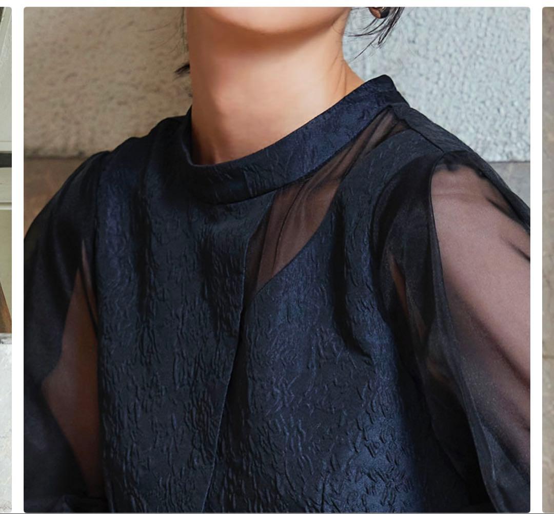 RUIRUE BOUTIQUE シアーランタンスリーブふくれジャカードドレス3L