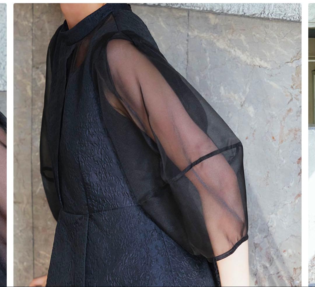 RUIRUE BOUTIQUE シアーランタンスリーブふくれジャカードドレス3L