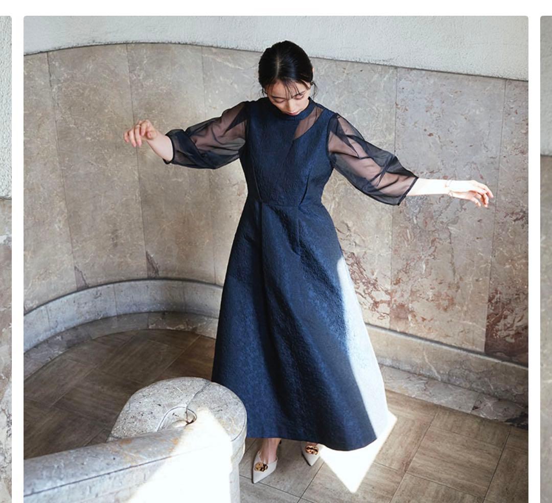 RUIRUE BOUTIQUE シアーランタンスリーブふくれジャカードドレス3L