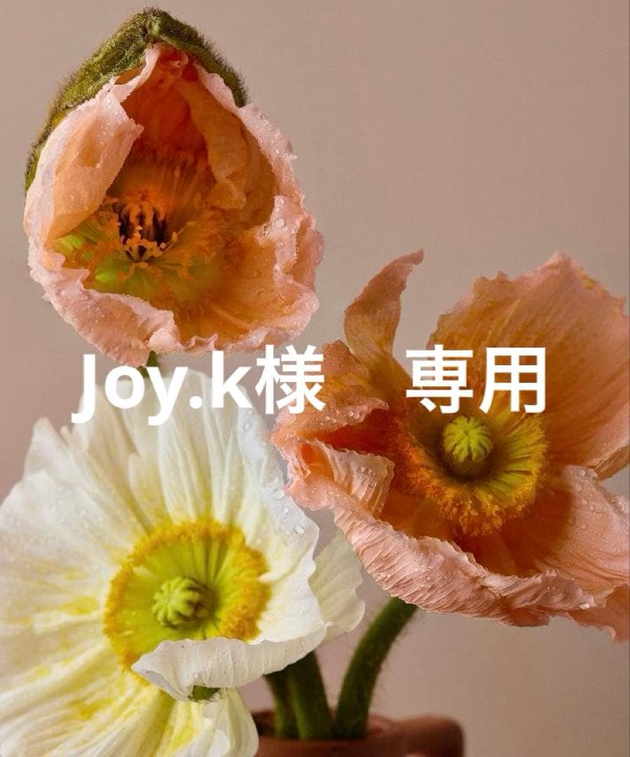 Joy.k　フリーサイズ