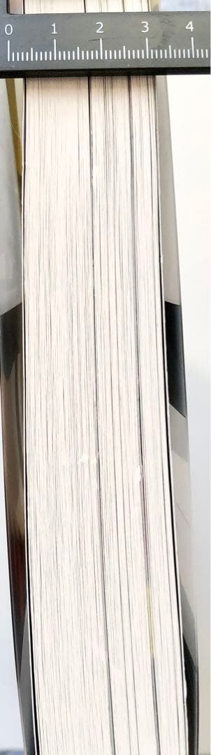 ペルソナ4 p4g 設定資料集　スタッフ本 限定　2015 書きおろし　足立透