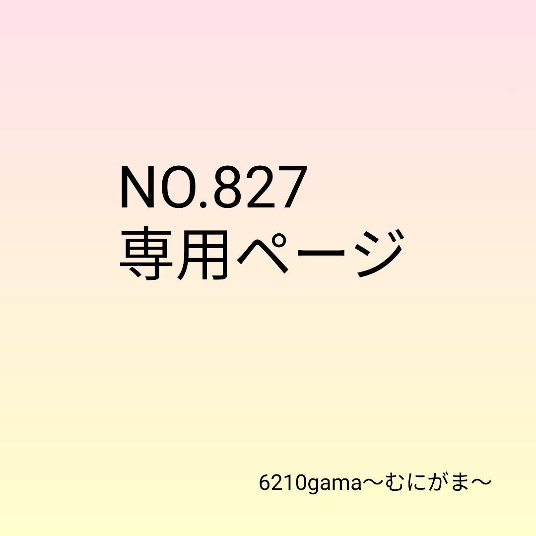 NO.827 UmiUmiページ