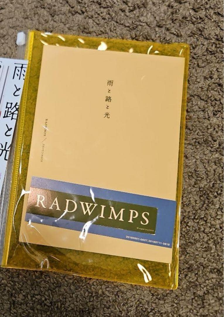 RADWIMPSグッズまとめ売り（全20点）