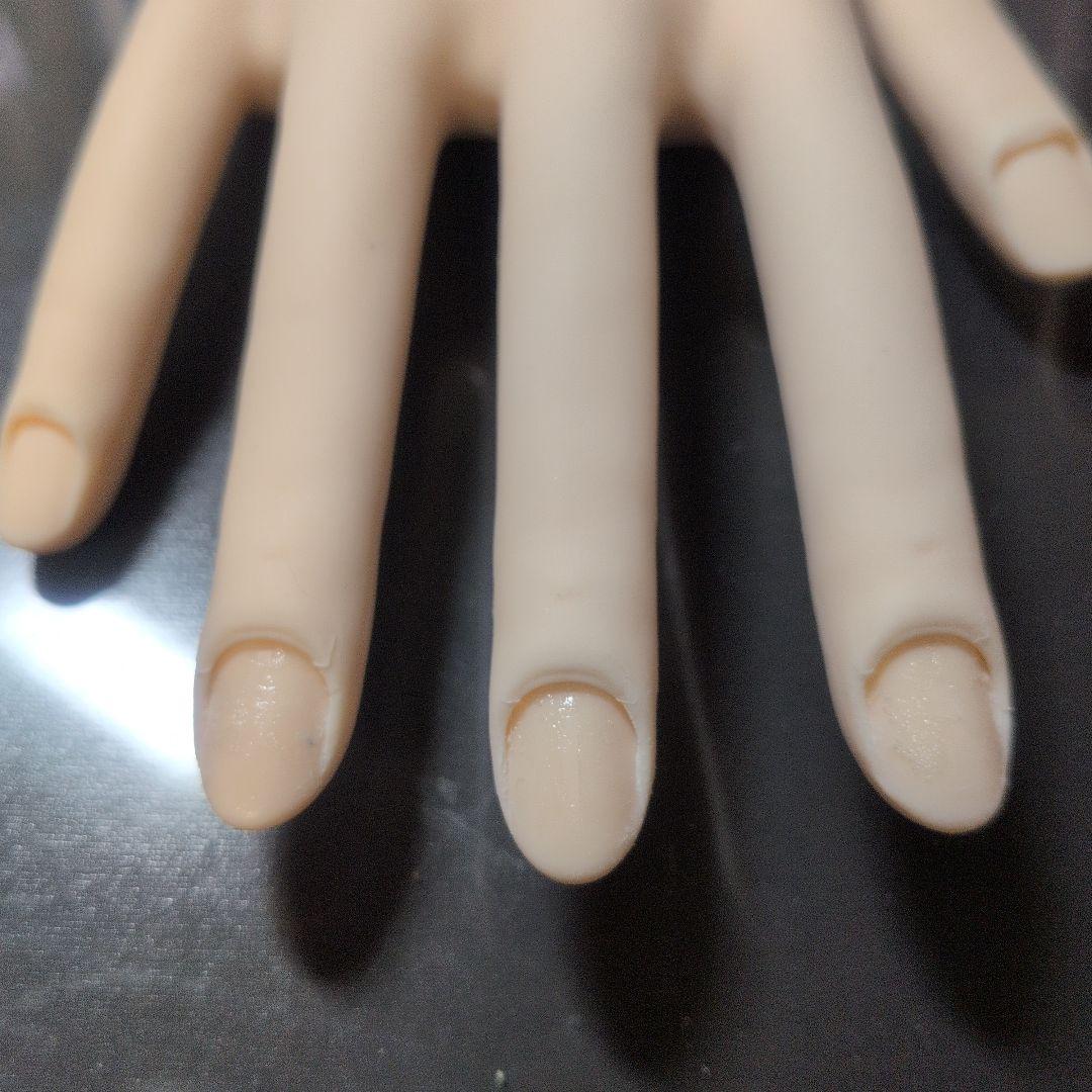 認定モデルハンド(骨折なし)