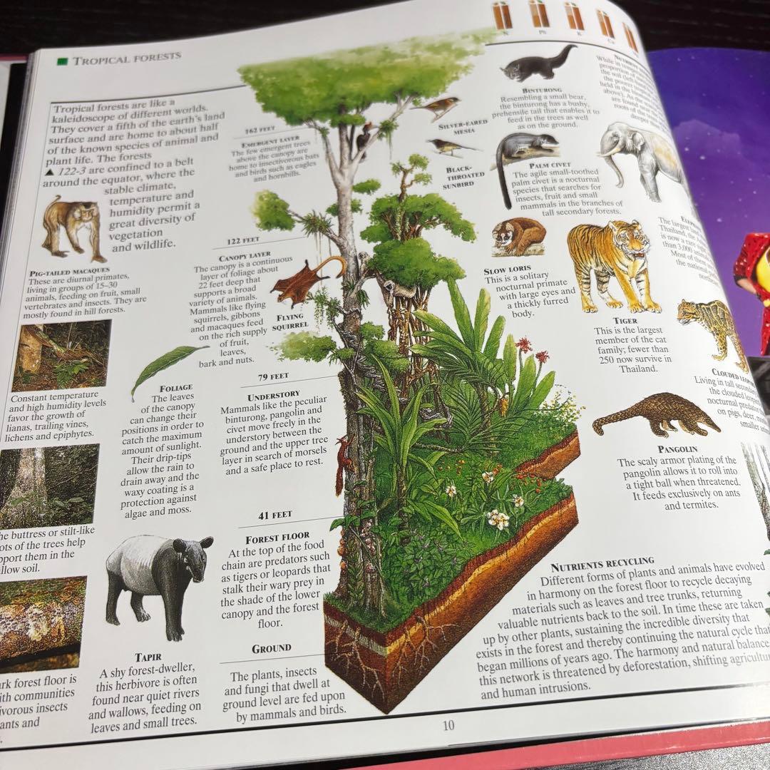 タイ百科事典　A Traveller's Companion 洋書（英語版）