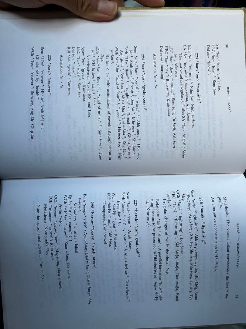 ハム・セム語族（アフロアジア語族）語源辞典