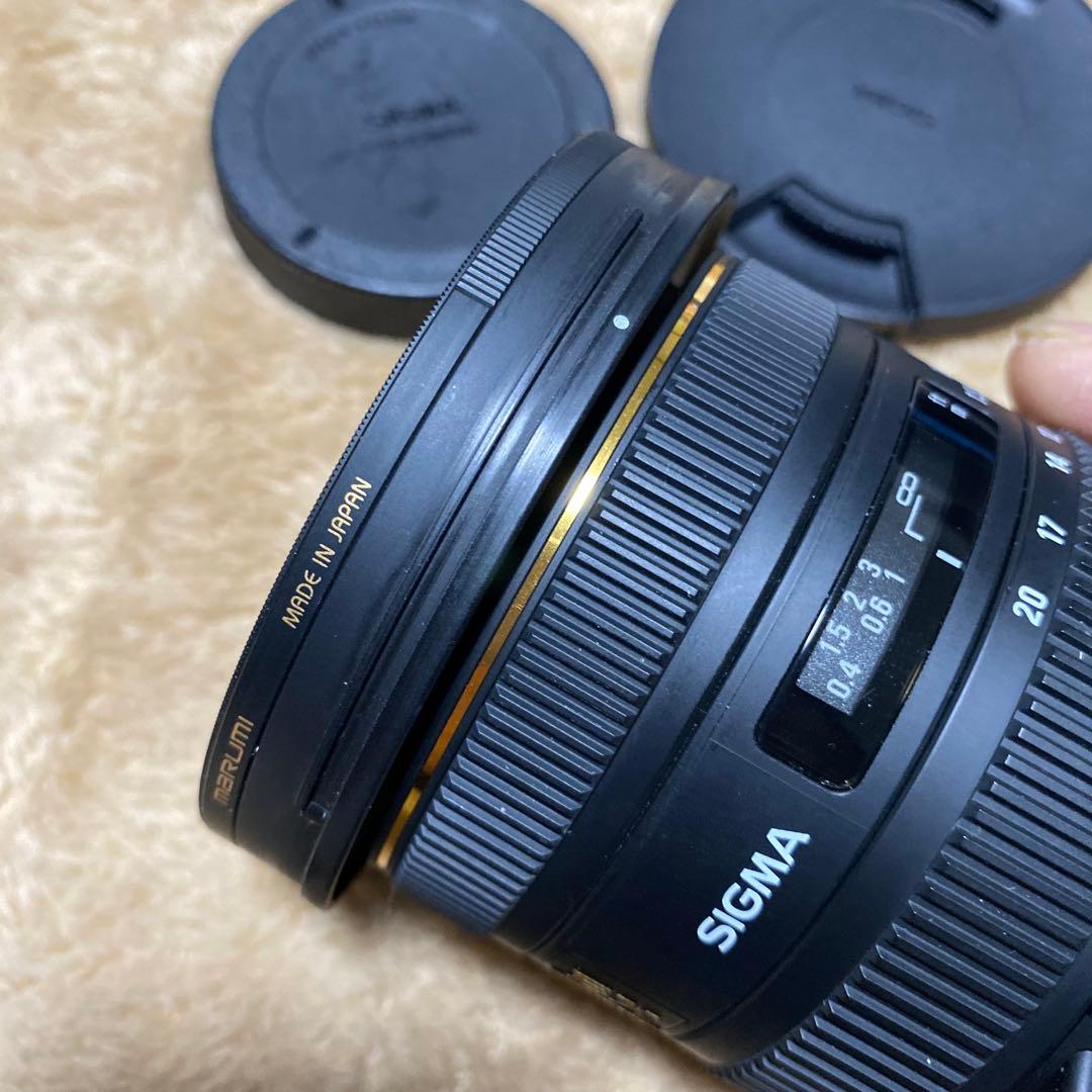 SIGMA 広角レンズ10-20mm F3.5 DC HSM EFマウント