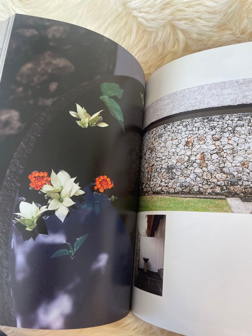 【廃盤】バリスタイルの家 : 西城秀樹の快適アジアン生活のすすめ