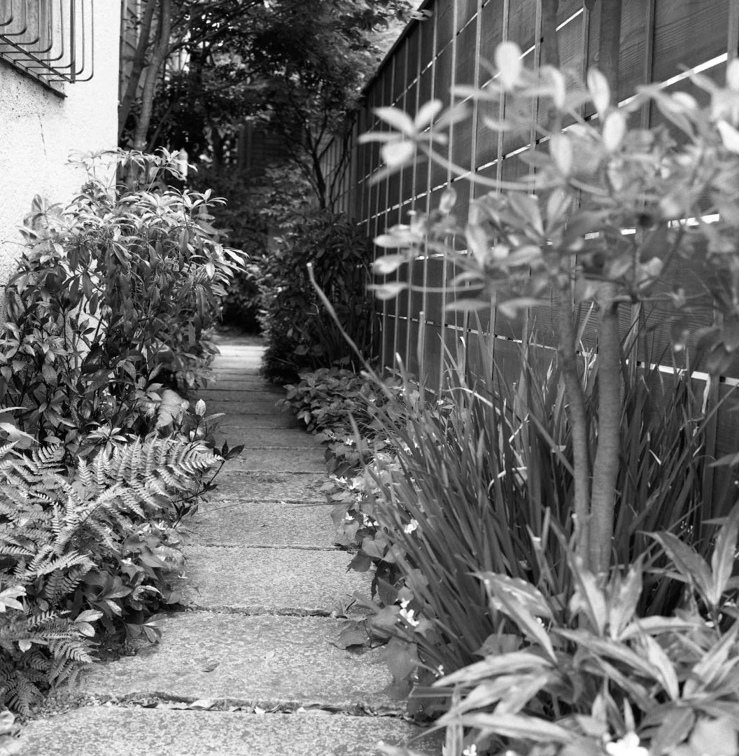 ローライフレックス2.8C　プラナー80㎜f2.8 オーバーホール済