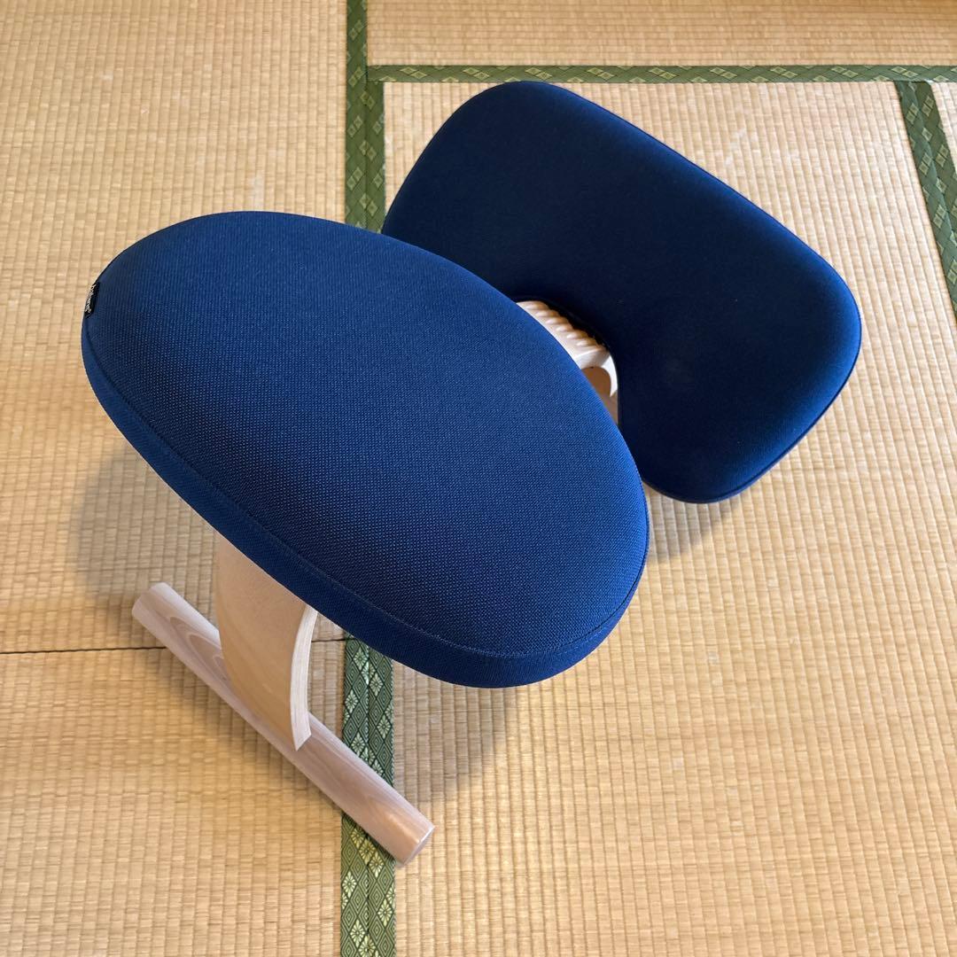 Balance Easy バランスイージー ネイビー