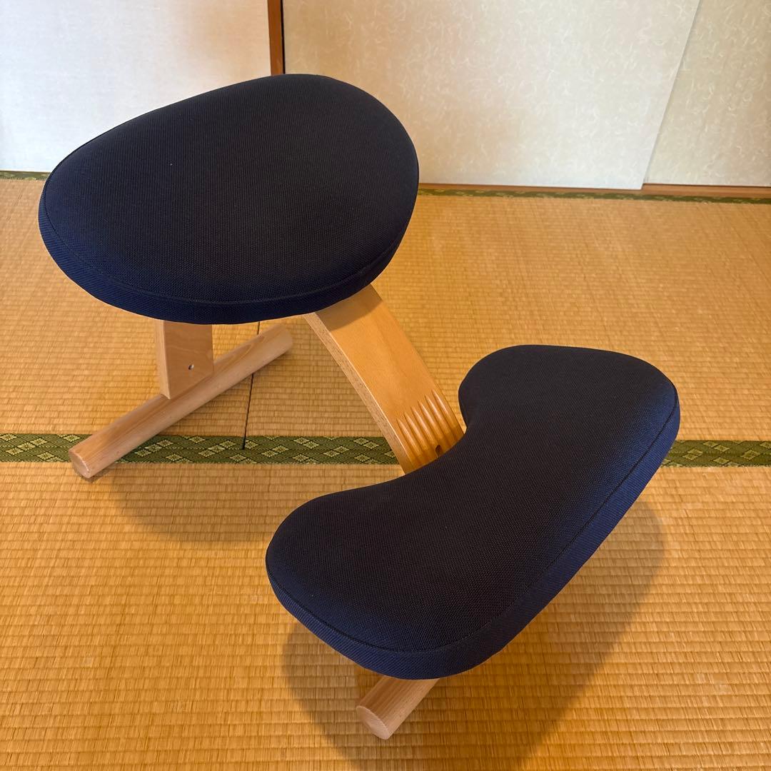 Balance Easy バランスイージー ネイビー