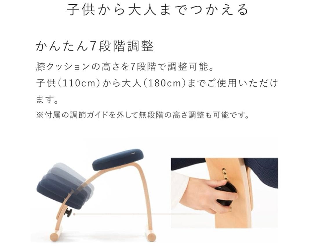 Balance Easy バランスイージー ネイビー