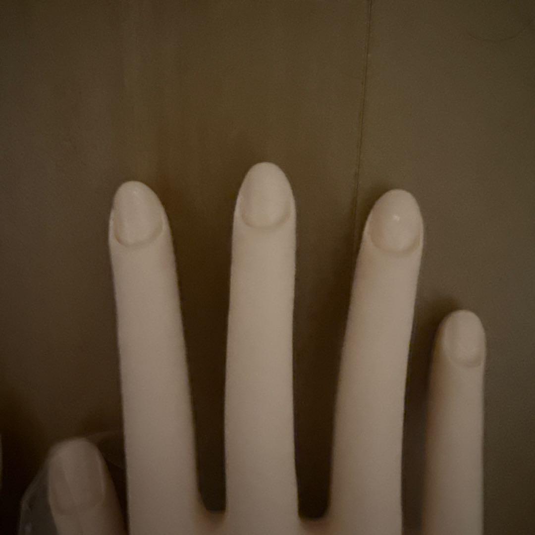 JNEC認定モデルハンド 両手セット