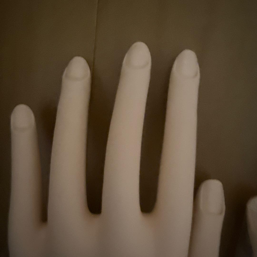 JNEC認定モデルハンド 両手セット