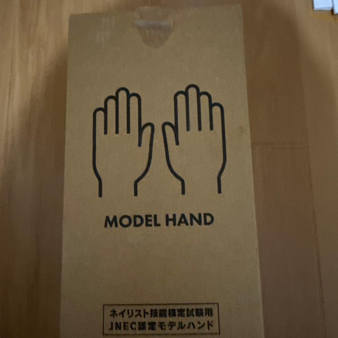 JNEC認定モデルハンド 両手セット