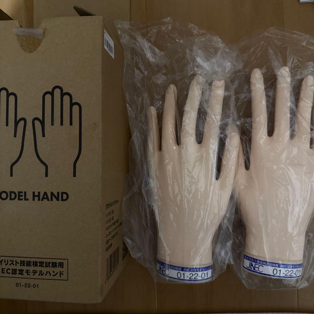 JNEC認定モデルハンド 両手セット