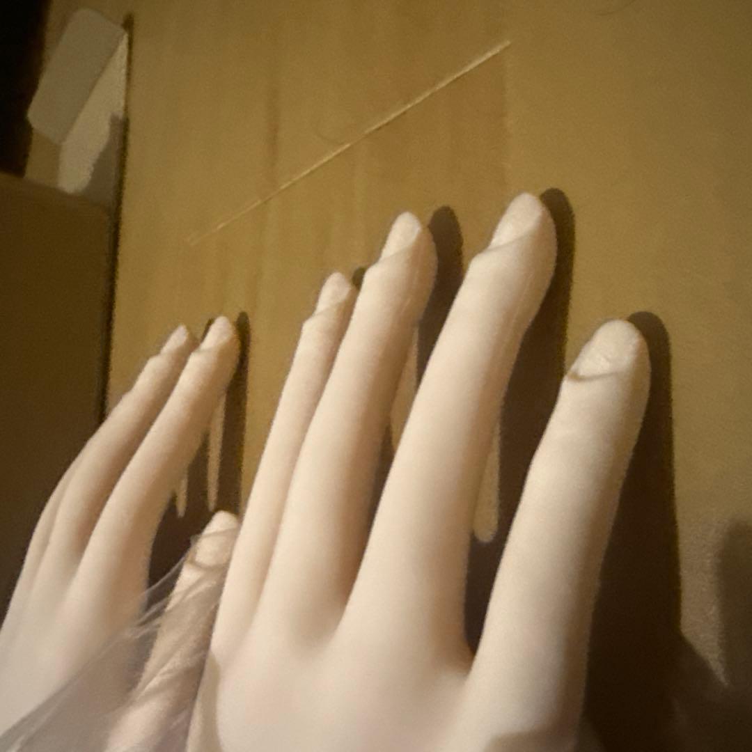 JNEC認定モデルハンド 両手セット