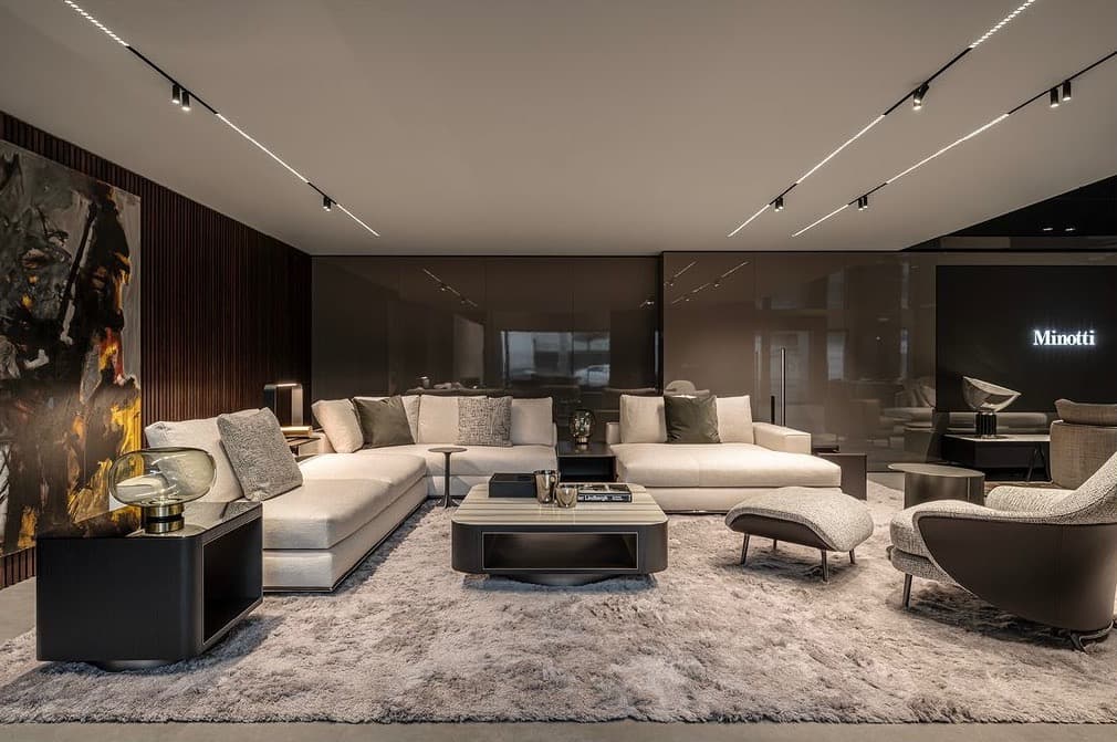 Minotti ミノッティ クッション 本物 イタリア製 高級家具 1個