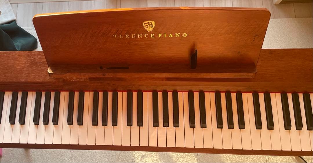 TERENCE 電子ピアノ P10